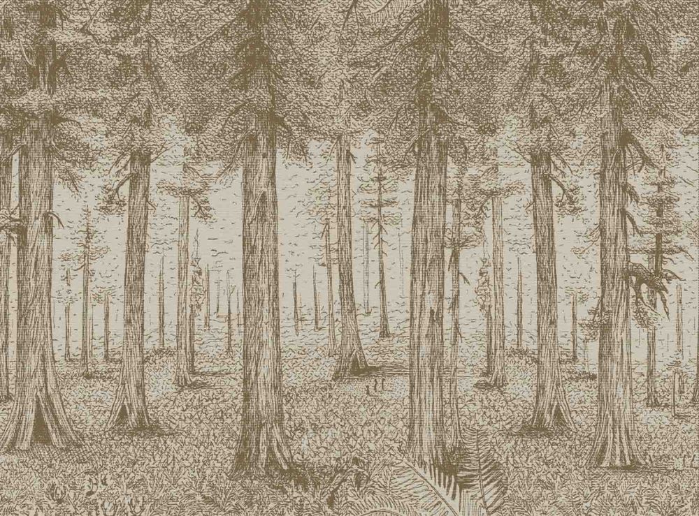 Обои A thousand redwoods от Pierre Frey.