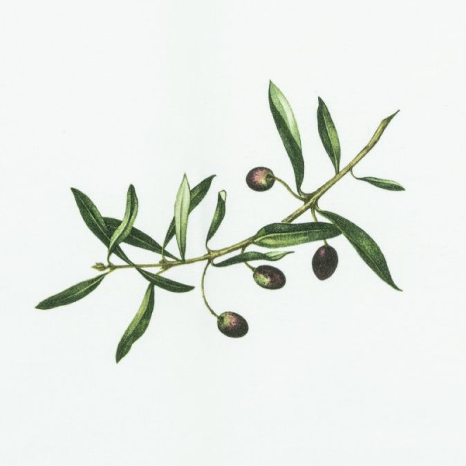 Ткань Olive от Christian Fischbacher